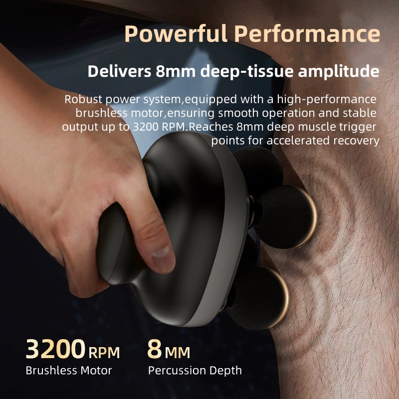 Alat Pijat Otot Profesional Pi - Power Tools Professional ulasan dan harga
